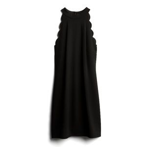 NWT Fortune + Ivy Marina Scallop Detail Dress